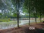 VUDA APPROVED PLOTS FOR SALE AT BHOGAPURAM