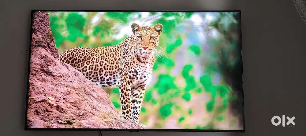 Samsung 50 inch Qled tv