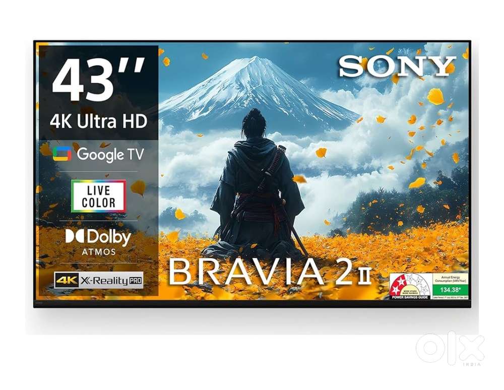 Sony Bravia 1 (43 inches)