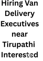 Van Delivery Executives