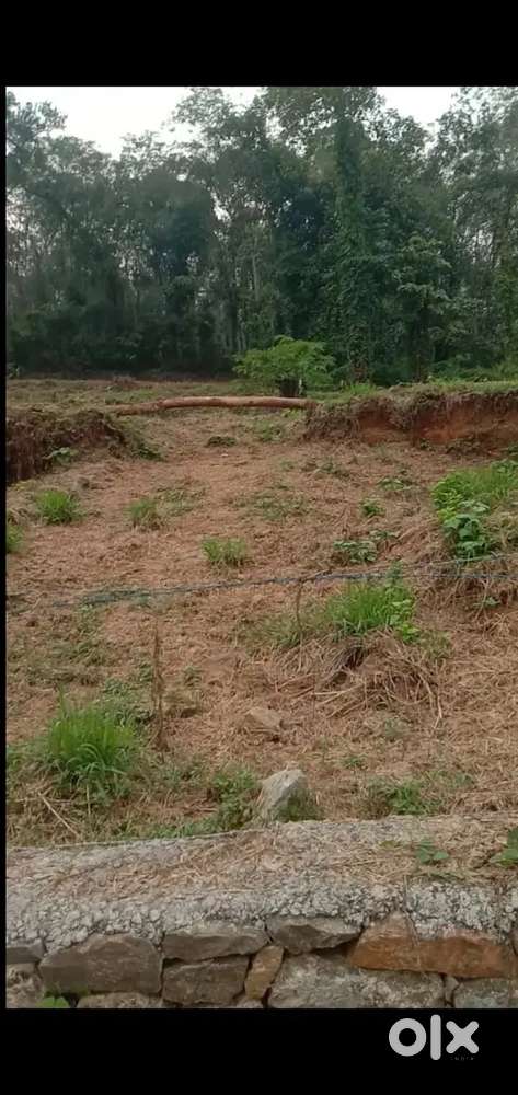 65 cent സ്ഥലം