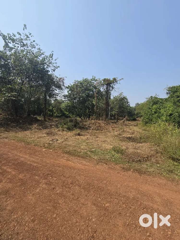 226 & 300 sqmt Plot for sale at Khandepar