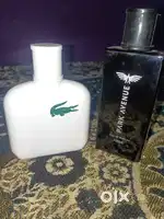 Lacoste perfume