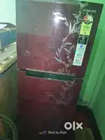 Fridge dual door