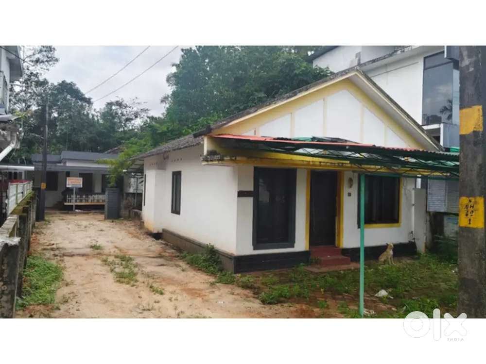 24 cent Commercial Plot for sale at Kalavoor junction