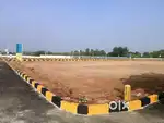 Ready to construct Dtcp approved plot for sale at Thiruppuvanam