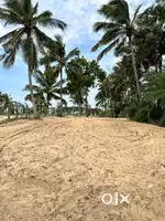 40 Cent On road sea facing land in Chothavilai Beach Prime Location