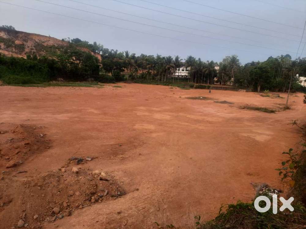 50 cent House Plot for Sale Kakkanad,