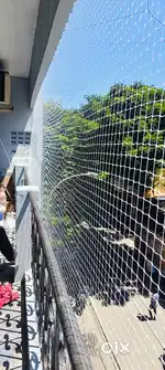 Nets for birds