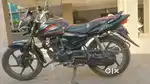 Honda shine