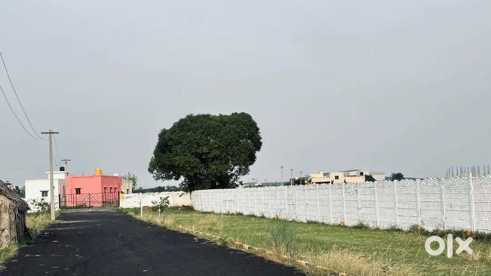 Urgent sale residential plots in Guduvanchery