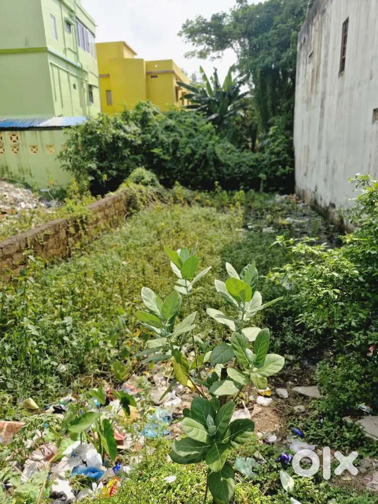 Bidanasi Kumbhar sahi