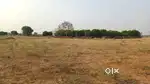 18 lakh per Acre Only,2 Acres Agriculture land for sale
