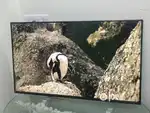 Wholesale 24 SMART ANDROID LED TV 1GB RAM 8GB ROM WI-FI YOUTUBE