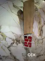 CRICKET KASHMIRI WILLOW BAT