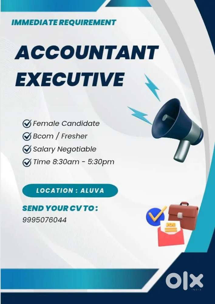 Hiring - Accountant Executive