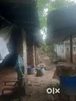 Animal rkhna ke liya sampark kare