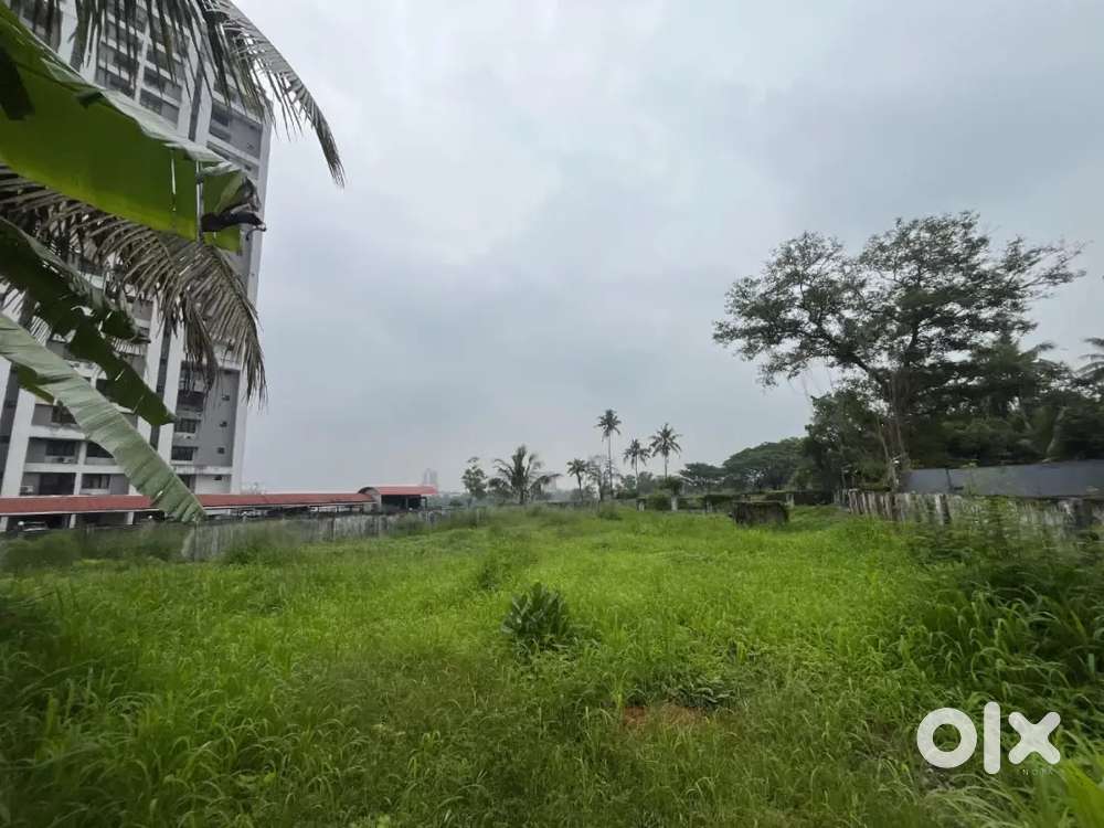 15 ACRE LAND SUITABLE FOR FLAT ETC.. AT VYTILLA WITH WIDE ROAD