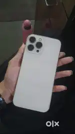 13 pro max