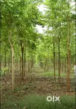 Redsandal agriculture farm lands for sale EMI facility available