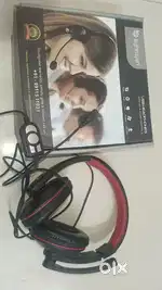 Big Passport (USB headphones with mic and sound controls)