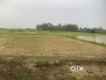 1200 GAJ PLOT ON DAMAR ROAD 3250/GAJ LOCATION RAMCHARAMAU UNNAO