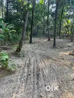 Plot for sale