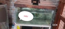 Aquarium sale
