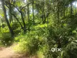 Beautiful housing plot for sale