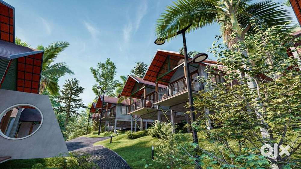 വയനാട്ടിന്റെ ഹൃദയഭാഗത്ത് – പ്രത്യേക റിസോർട്ട് ഇൻവെസ്റ്റ്മെന്റ് അവസരം!