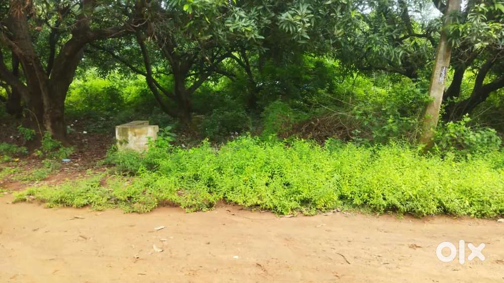 Site for sale, vuda plot ,Madhurawada