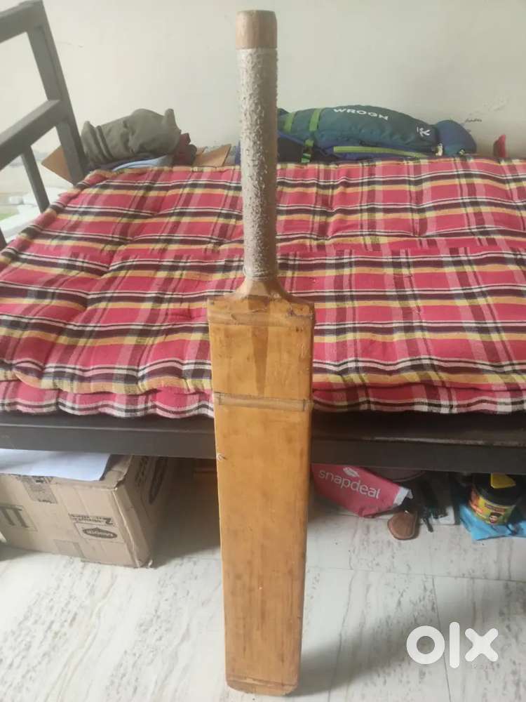 Cricket bat