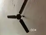 Fan  Branded