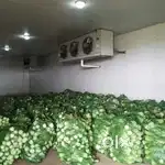 Cold storage partner needed
