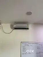 Wanted helper