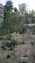 Urgent sale karna h