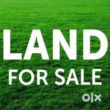 2.5 Bigha Land for sell