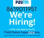 Sales executive