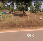 18 Cents plain land for sale - Nelyadi