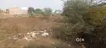 Commercial Land for Sale