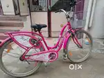 Lady Bird cycle