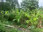 6 cent plot for sale