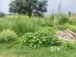 Plot are on tahshil road,100m form stadium sahjanwa,500m from tahshil
