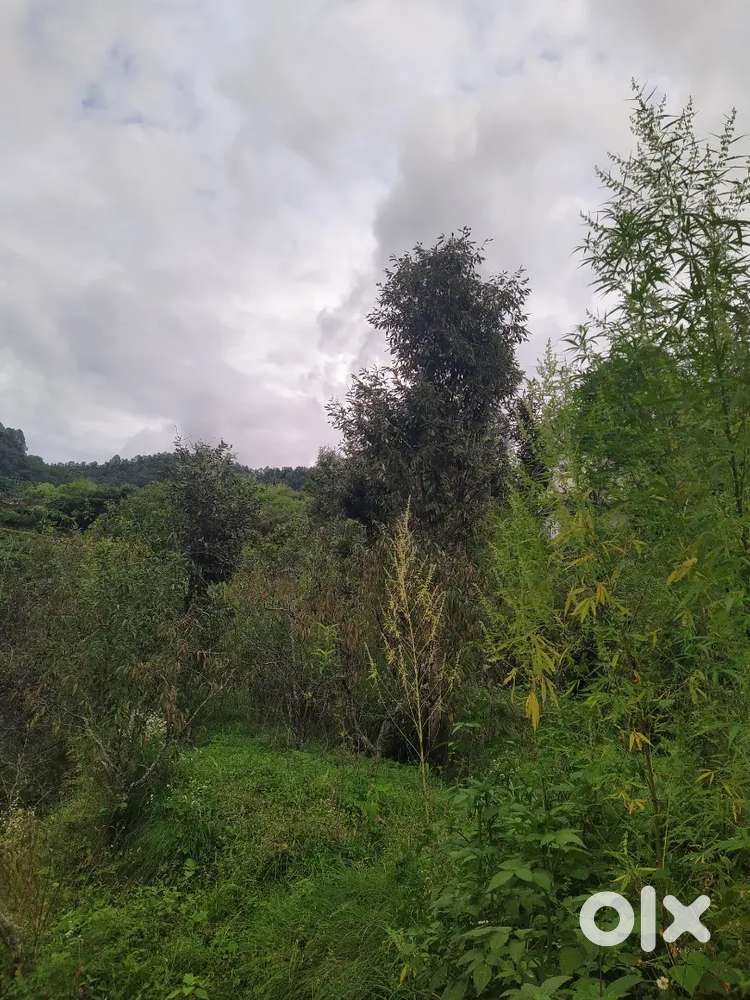 Land for sale