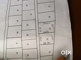 Draughtsman