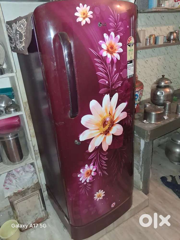 LG 224 Ltr Refrigerator 7 month Old
