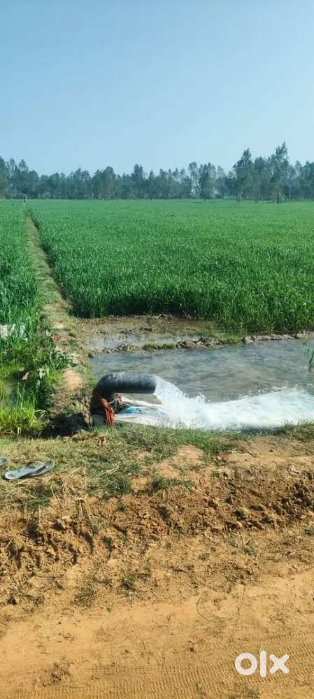 Agriculture Land For Sell