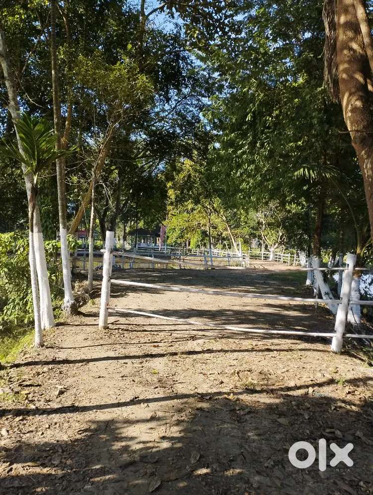 Indian, Chinese and tandoor