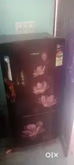 2 year old frize for selll