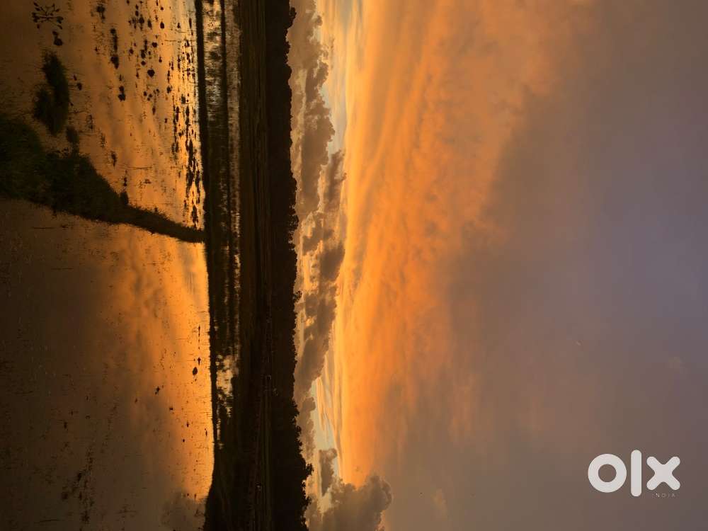 Massage terapy for women kochi 3hrs 5000. 1666 for hrs